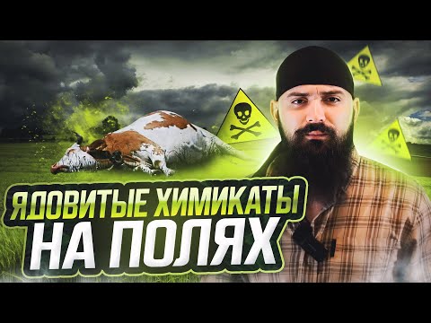 Видео: Что такое ПЕСТИЦИДЫ? Чем они ОПАСНЫ ДЛЯ ЛЮДЕЙ И ЖИВОТНЫХ?  Подробно рассказываю в реальных фактах!