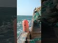 POV: You're on a Ship During a Dangerous Storm #Thalassophobia #ocean #sea #shorts