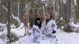 Охота на волка Winterjagd auf Wolf 2024 (фильм второй)