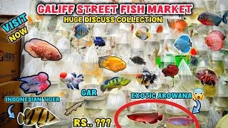 Galiff Street Pet Market ।2026 💥All Fish Price Update Recent Video 📸। Exotic Arowana, Discuss Fish🐠