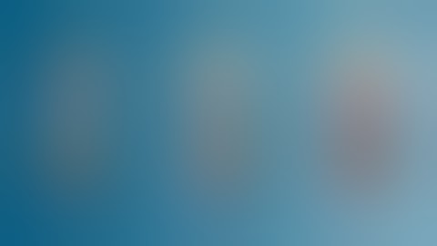 Fighting Fakes: What Can We Do Against Fake Products, Ads, Profiles and Sites – 2025-12-11