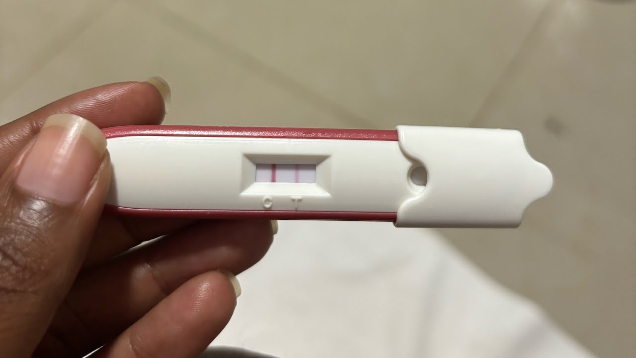 DEAR PREGNANCY DIARY