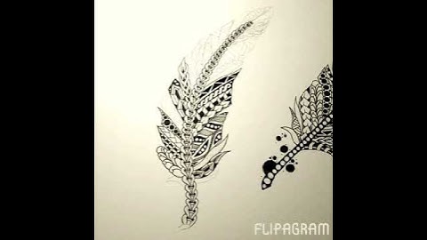zentangle feathers