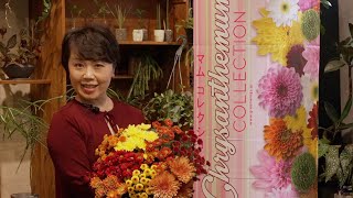 マムコレクションがやってくる！！オータム in Keita Flower Design