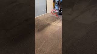 I made a mistake when I cleaned this customers home