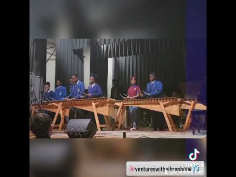 proarte marimba band-beatenburg(Pluto cover) \