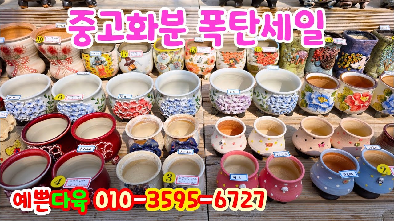 250519📍#예쁜다육 💥서두르셔야 예쁜화분 착하게 찜 가능합니다