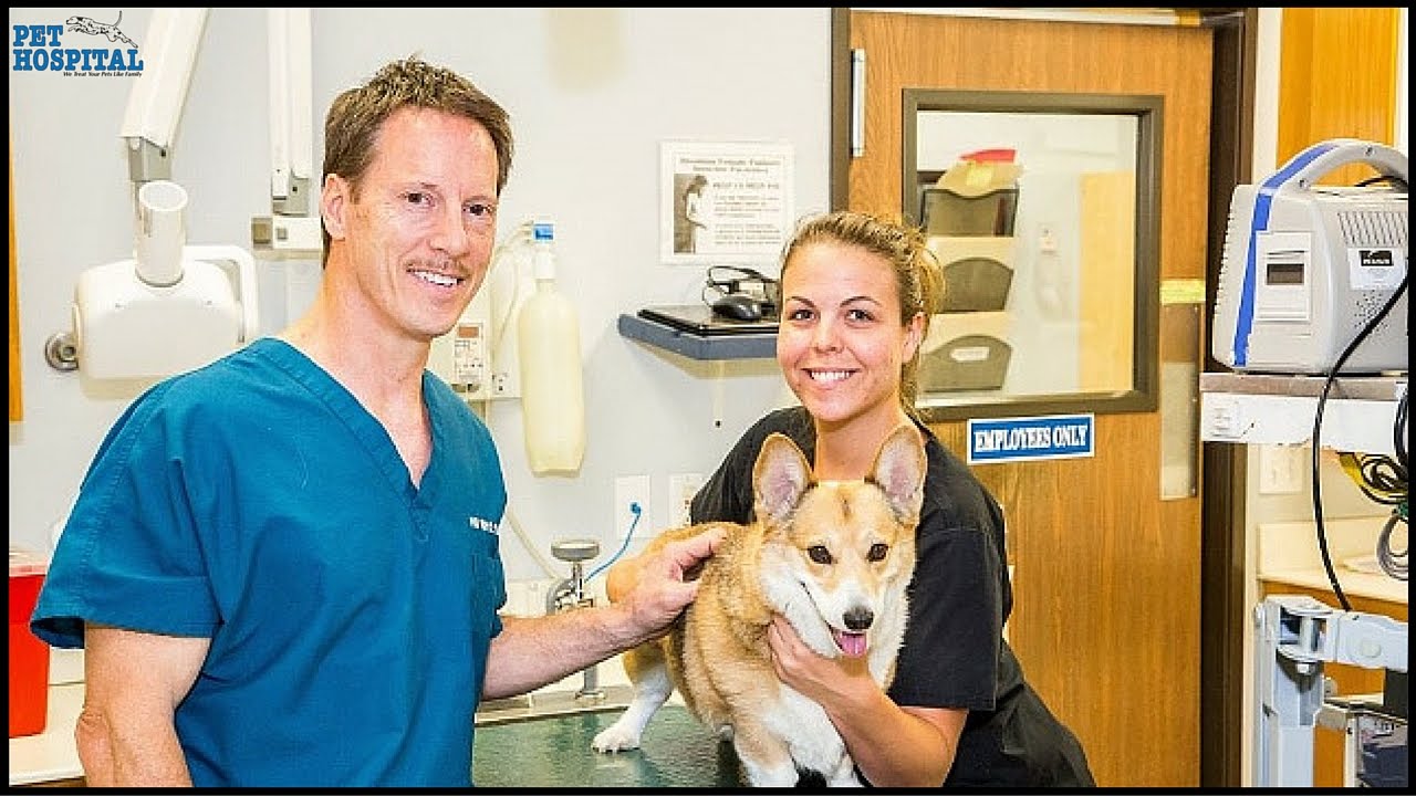 camera iphone 8 plus apk Pet Hospital Employee Robyn