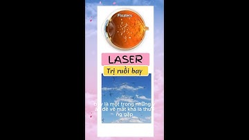 Cách điều trị RUỒI BAY có thể bạn chưa biết! - BS. Phan Phương Thảo