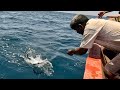 Catching Queen Fish in the Sea #fishing #fishingvideo #seafishing