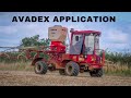 AVADEX Application