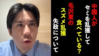 中国人がセミを乱獲して食べている？毛沢東のスズメ乱獲失政について