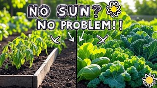 No Sun? No Problem! Shade-Loving Veggies That Thrive