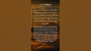 قال رسول الله صل الله عليه و سلم : من قرأ هاتين الآيتين من آخر سورة البقرة في ليلة، كفتاه. #share