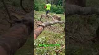Treelopping