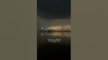 (ولوطا اذ قال لقومه) القارئ ياسر الدوسري