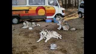 Einen Tag im &quot;Wildpark Johannismuhle&quot;