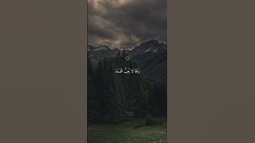 تلاوة خاشعة جميلة بصوت ماهر المعيقلي ارح سمعك #ماهر_المعيقلي #اكسبلور
