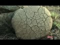 Poaching Africa threatens tourism