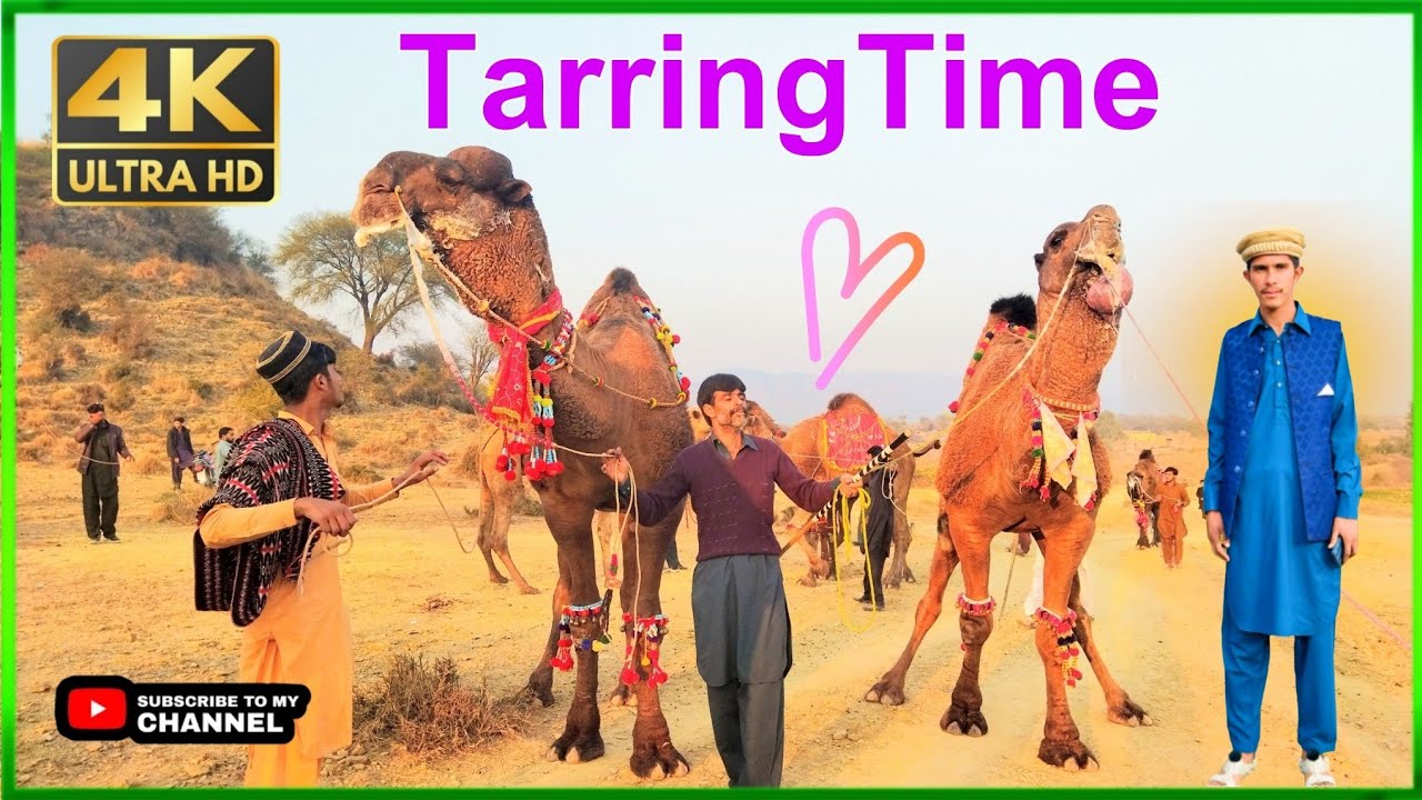 Kalyam Sharif Mela 2025 |Tarraing Time|Baba Fazal Shah Kalyami Urs Kalyam Sharif Tazmail Khan Vlogs