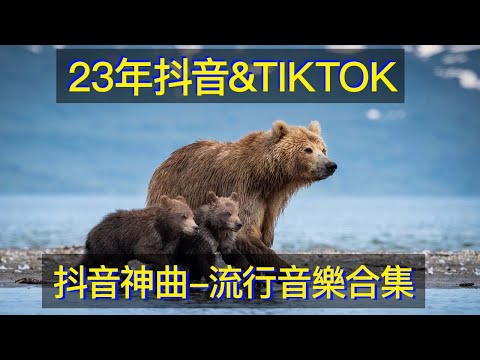 經典滄桑音樂合集 都是當年的封神之作，六首“經典神曲”還是那麼好聽，讓人回味 经典沧桑音乐合集 都是当年的封神之作，六首“经典神曲”还是那么好听，让人回味
