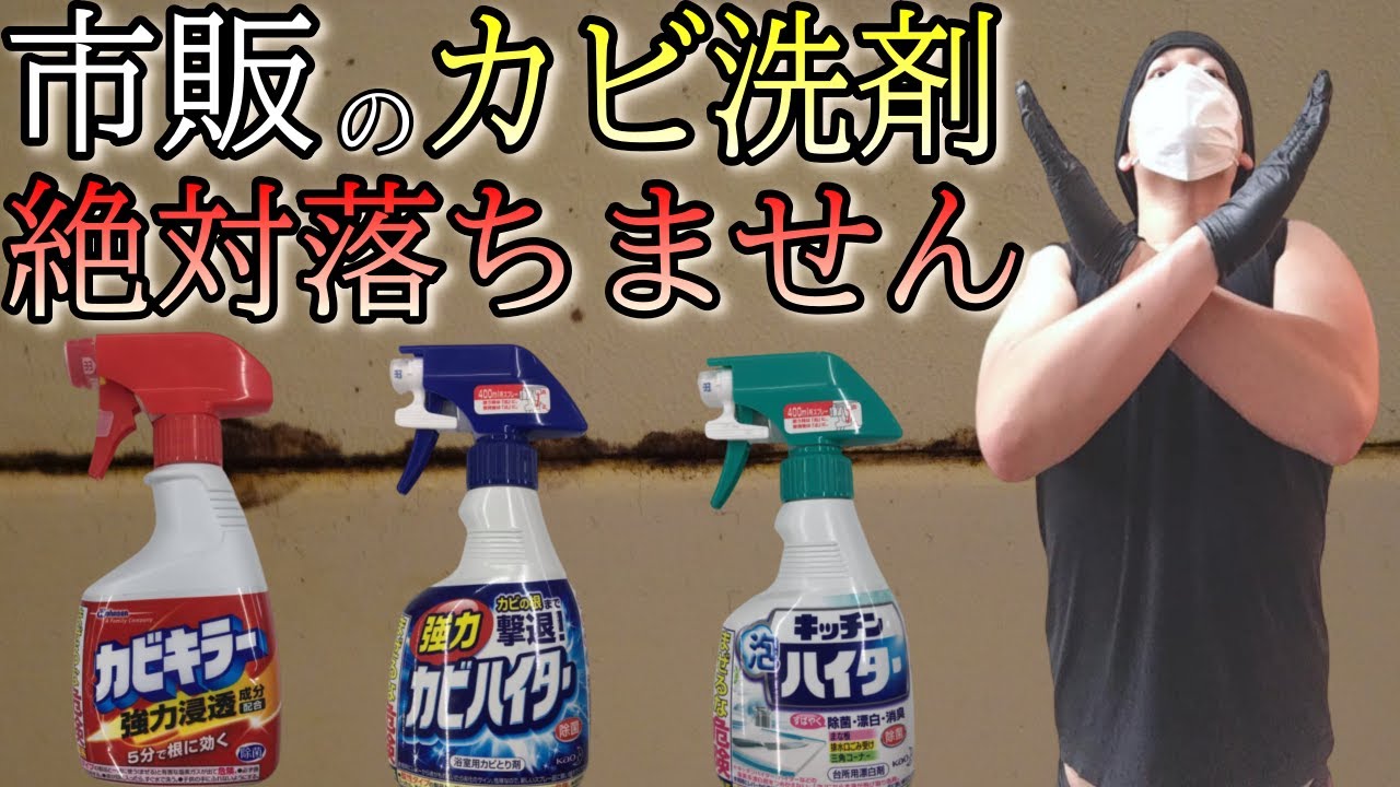白カビと黒カビの違い 類似用語の違いを比較する 理科 22 白カビと黒カビの違い 類似用語の違いを比較する 理科 22