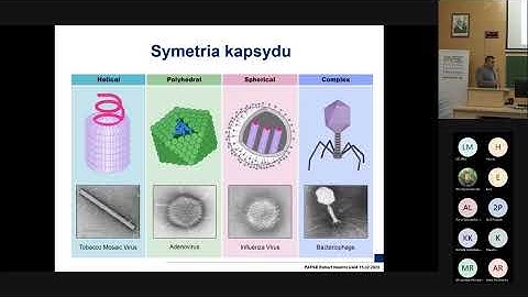 "Are viruses alive? Reflections on the nature of these intriguing creations