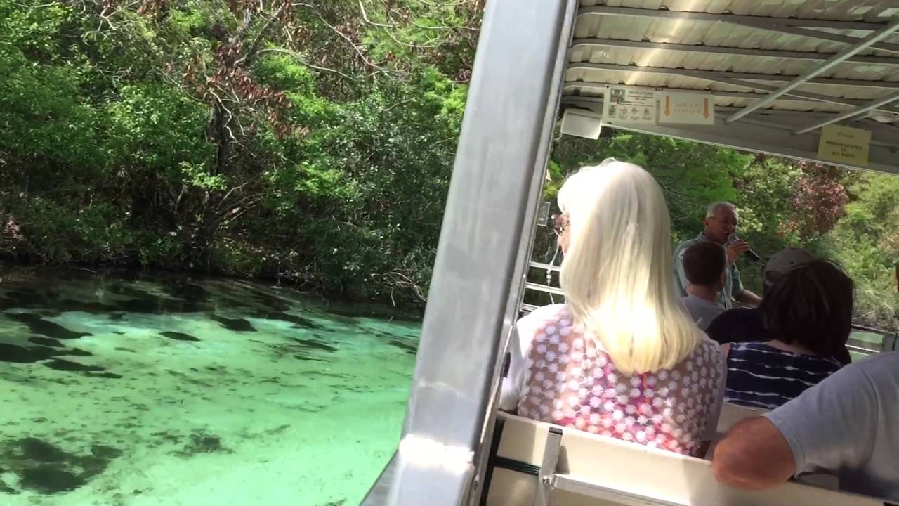 Weeki Wachee Springs Boat Tour YouTube