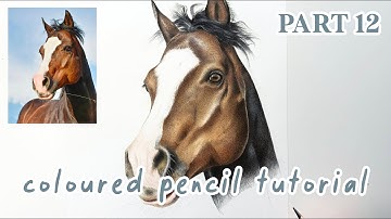 How to Draw a Horse in Coloured Pencils | Realistic Drawing Tutorial Full Series | Part 12