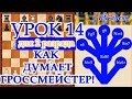 Как думает гроссмейстер - шахматный Урок 14 для 2 разряда.