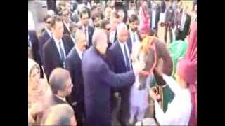 Erdoğan Hediye Edilen Ata Bu Kez Binmedi