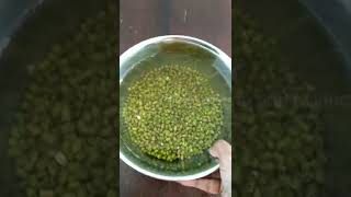 How to sprout green gram at home without using cheese cloth | Green gram sprouts easy way screenshot 5