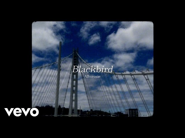 Alborosie - Blackbird