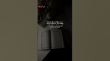 تلاوة خاشعة ومؤثرة القارى إسلام صبحي 🎧❤️‍🩹 #أرح_سمعك_وقلبك #اكسبلور #طمئن_قلبك #إسلام صبحي