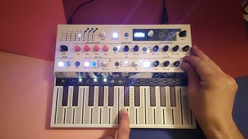 Arturia MicroFreak: Wavetable No. 6 is my new Favorite (Improvised Sequencer Play)