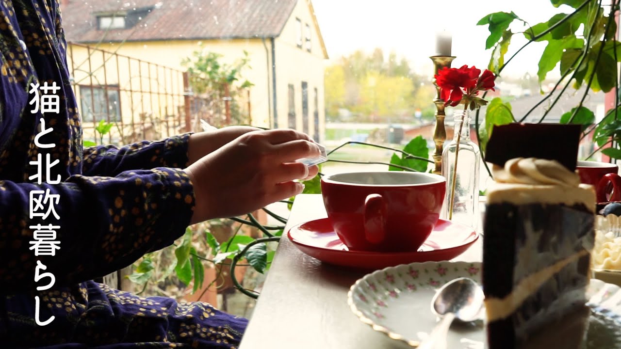 北欧暮らし🌿菜の花を楽しむ空中散歩 / 田舎のカフェで出会った美味しいケーキ / スウェーデンの伝統楽器を奏でる