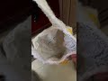 A bag with cotton lining