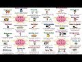 Collocations and Their Usage