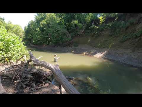 salt release discharge