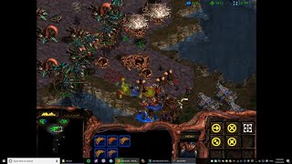 1 (Zerg) vs 7 Random Computers | The Hunters | Starcraft Brood Wars