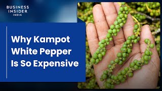 Why Kampot White Pepper Is So Expensive