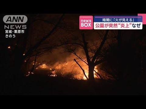 公園が突然“炎上”なぜ 暗闇に「火が見える」【スーパーJチャンネル