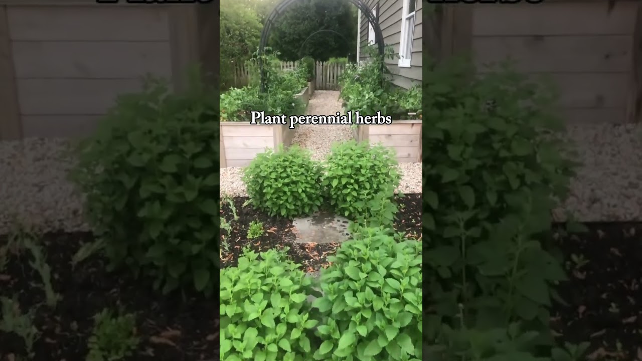 Can you believe how well this Chaos Garden turned out? It’s so easy! 