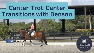 Canter-Trot-Canter Transitions with Benson