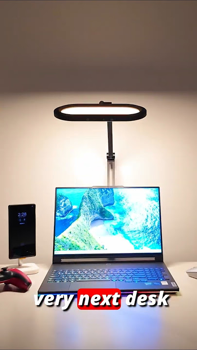 This Light FIGHTS Eye Strain With Dual Lighting Zones! LitONES H01 Home Office Desk Light