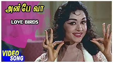 Saroja Devi Hits | Love Birds Song | Anbe Vaa Tamil Movie | MGR | Saroja Devi | M S Viswanathan