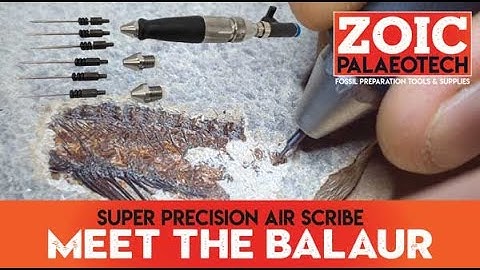 ZPT-BL The Balaur. The finest Fossil Prep Air Scribe EVER made! | ZOIC PalaeoTech