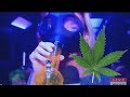 CNN Reporter gets high on air
