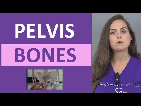 Bones Of The Pelvis | Pelvic Anatomy