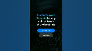 SWAP ALL TON TOKEN USING STON.FI DEXs